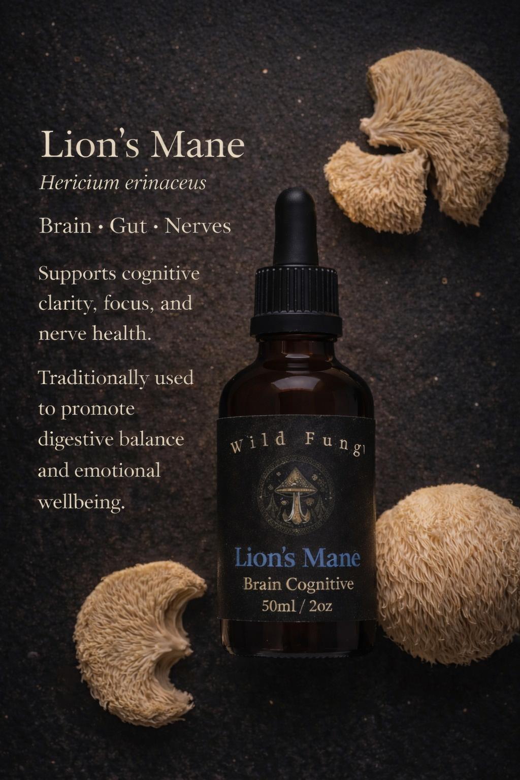 Lion's Mane Focus tincture label — ingredients and dosage information