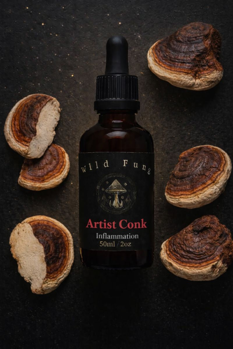 Wild Fungi UK Artist Conk Immunity tincture 50ml — dual-extracted mushroom tincture UK