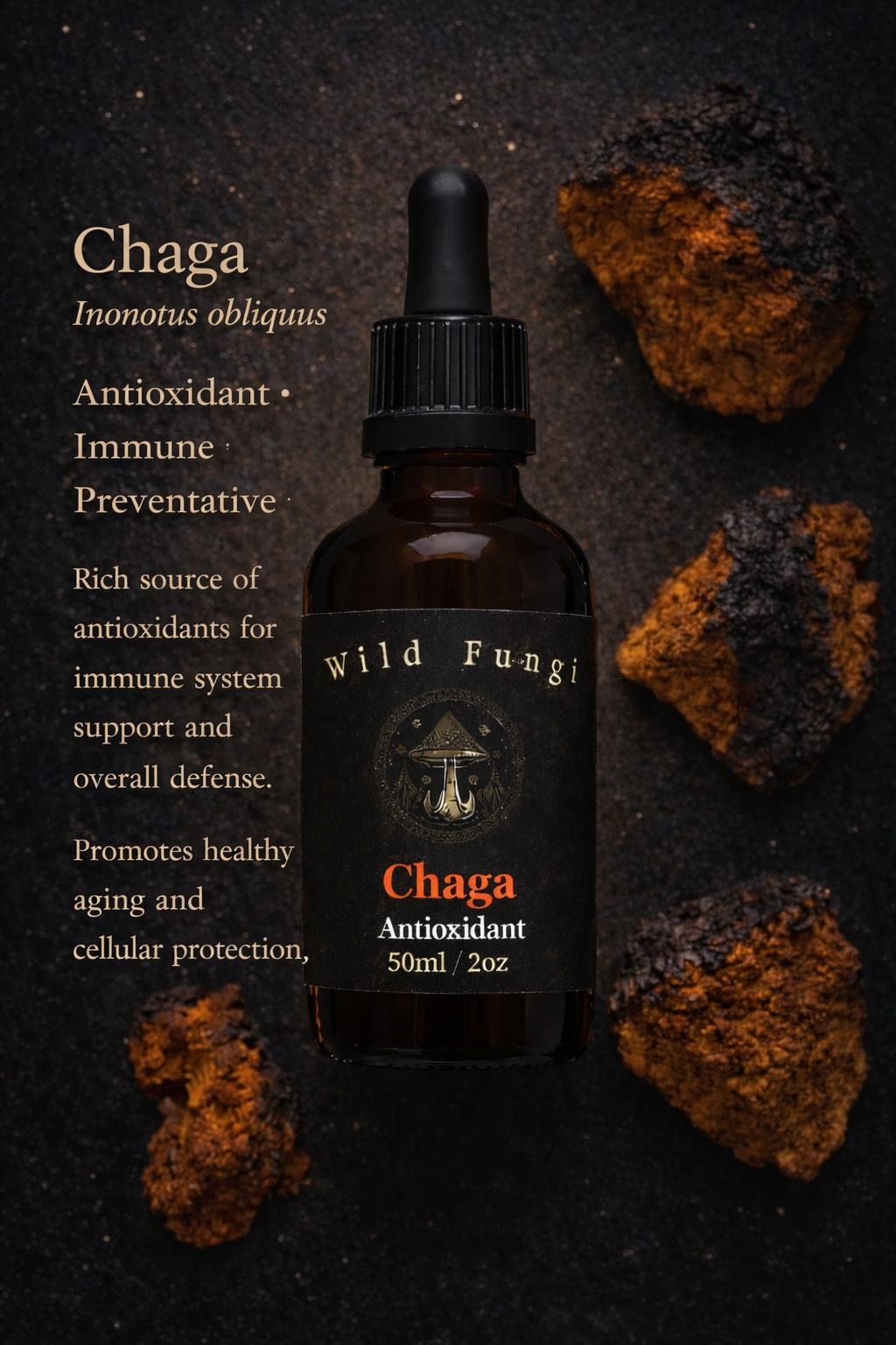 Bottle of Wild Fungi Chaga Antioxidant supplement with chaga mushrooms on a dark background