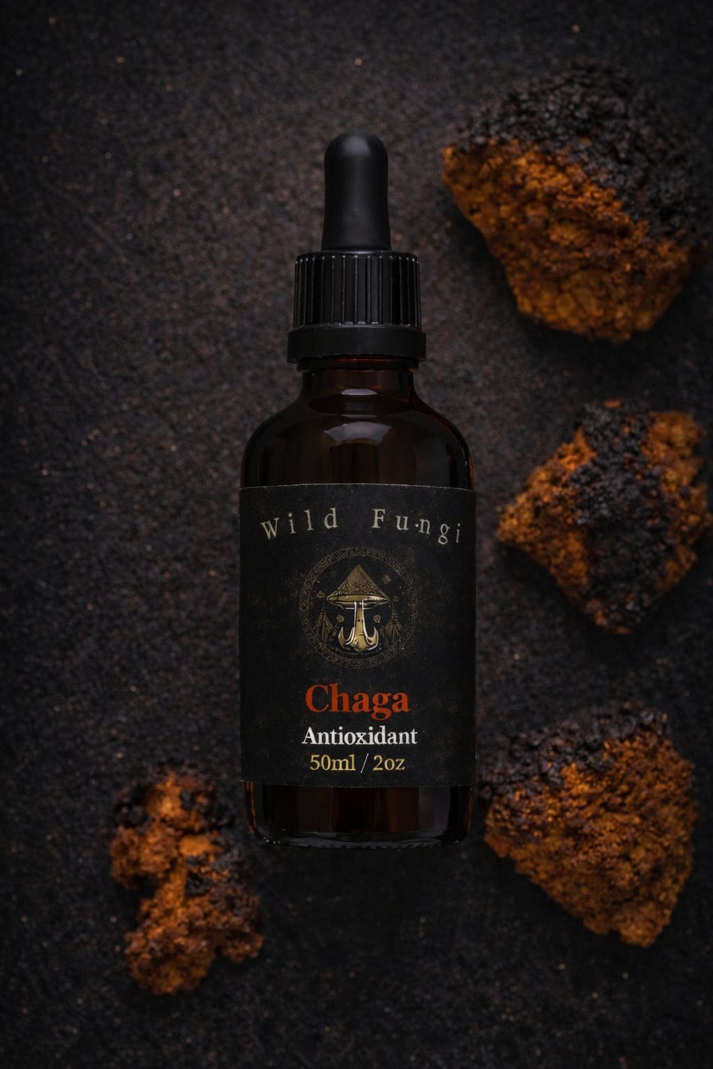 Bottle of Wild Fungi Chaga Antioxidant on a dark textured background with chaga mushrooms.