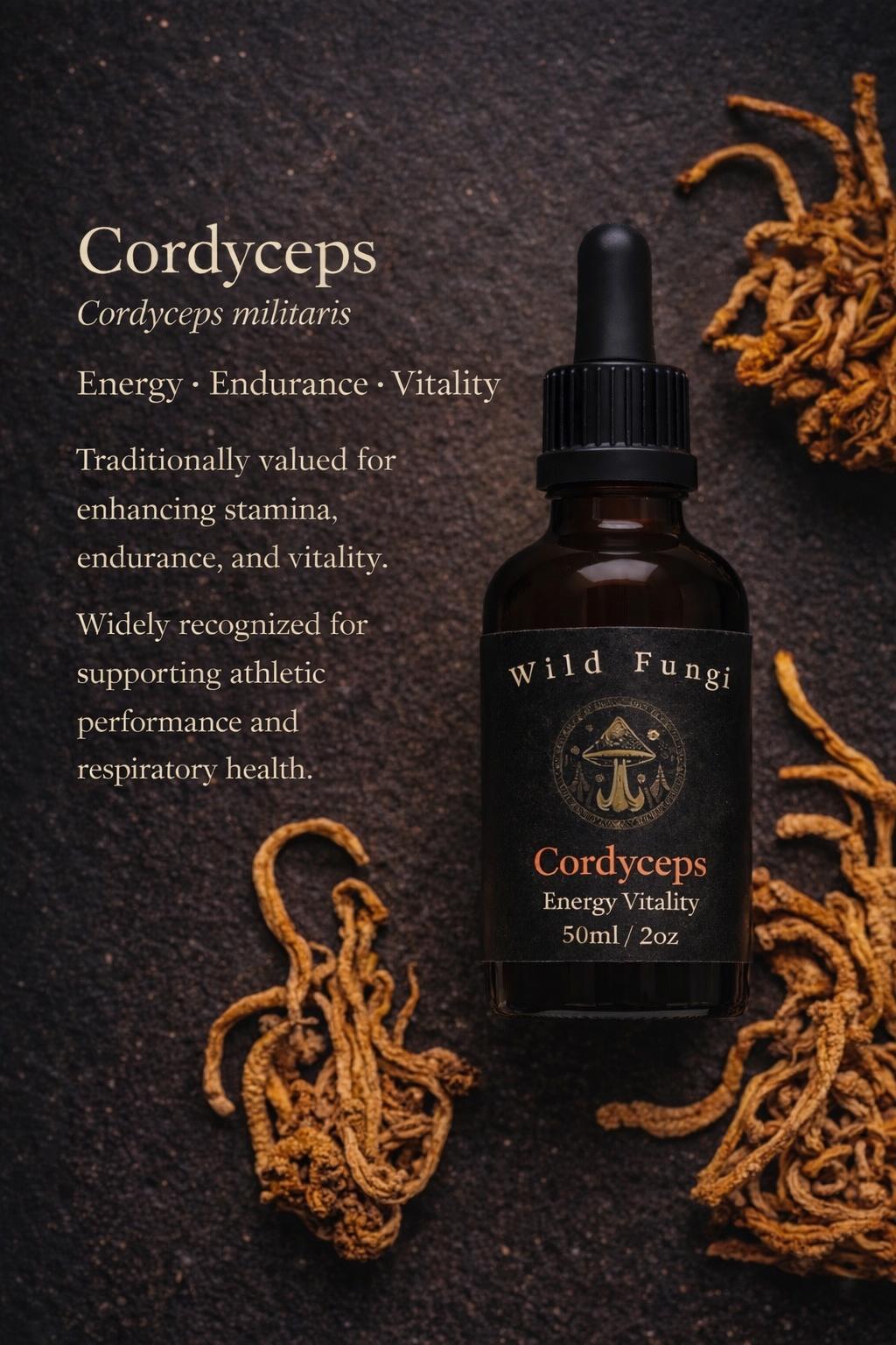 Bottle of Wild Fungi Cordyceps supplement with dried cordyceps on a dark background