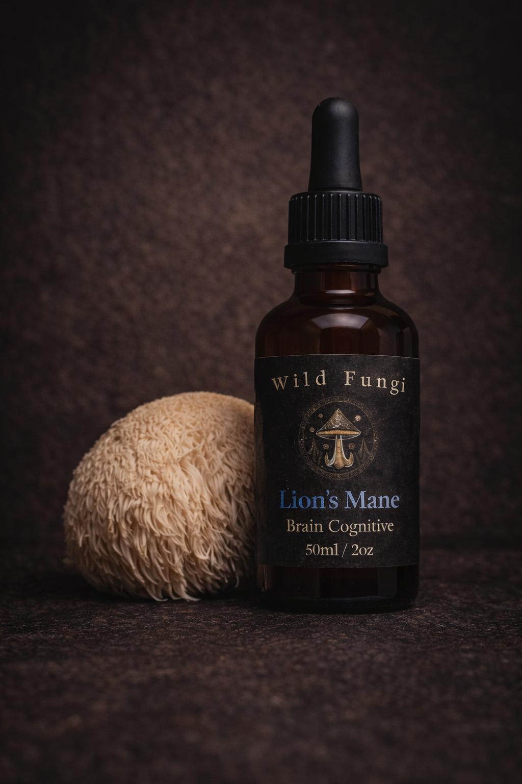 Wild Fungi UK Lion's Mane Focus tincture 50ml — dual-extracted mushroom tincture UK