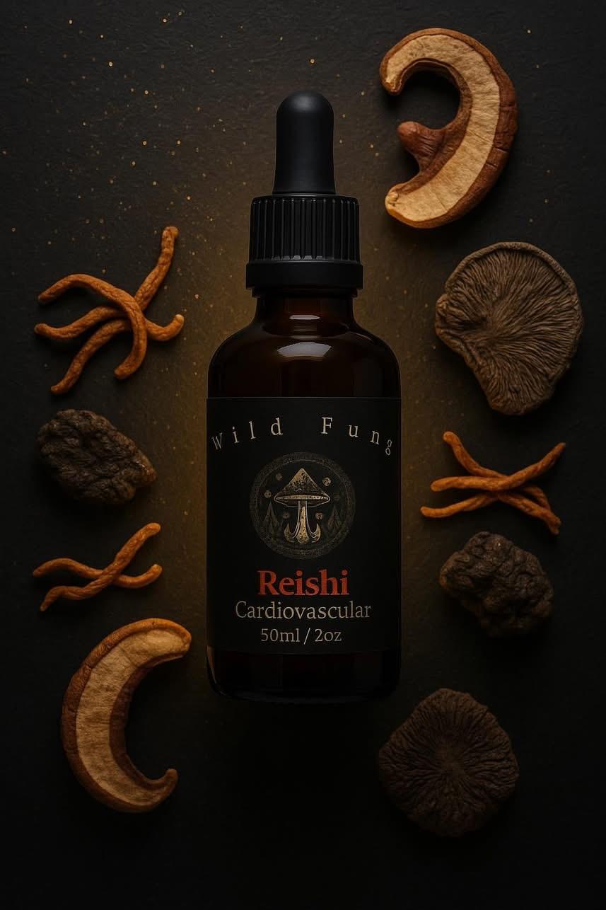 Bottle of Wild Ferns Reishi supplement with dried mushrooms on a dark background